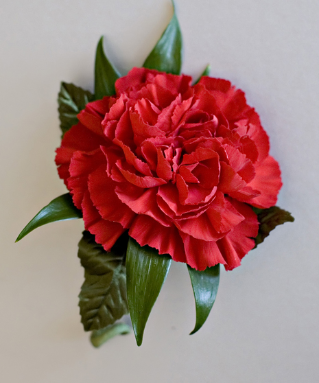 Red Carnation Boutonniere