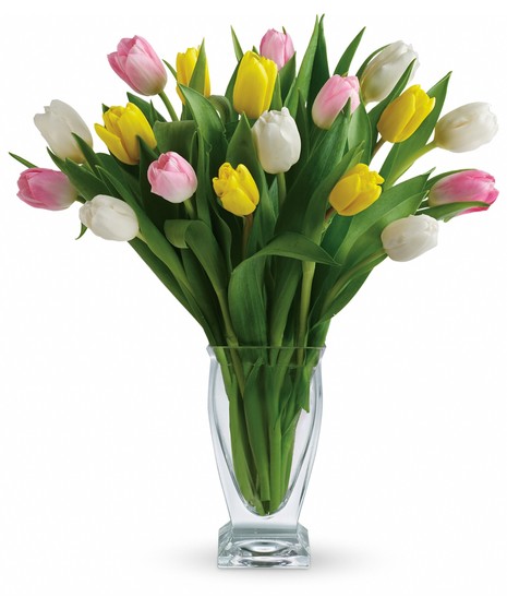 Easter Tulips