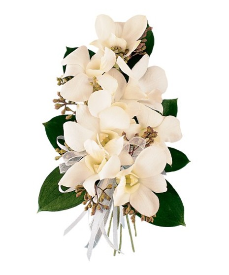 White Dendrobium Corsage