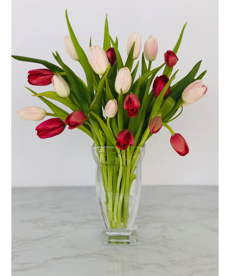 Valentine Tulips